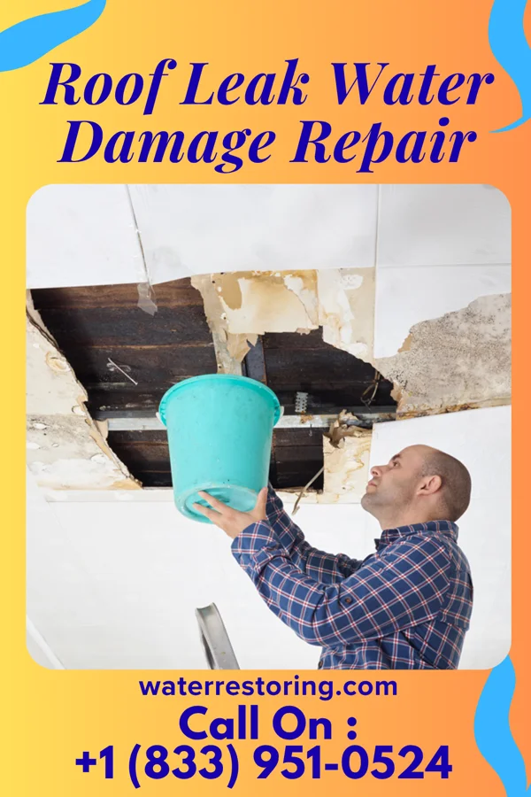 Roof Leak Water Damage Repair in Alamo Beach, TX